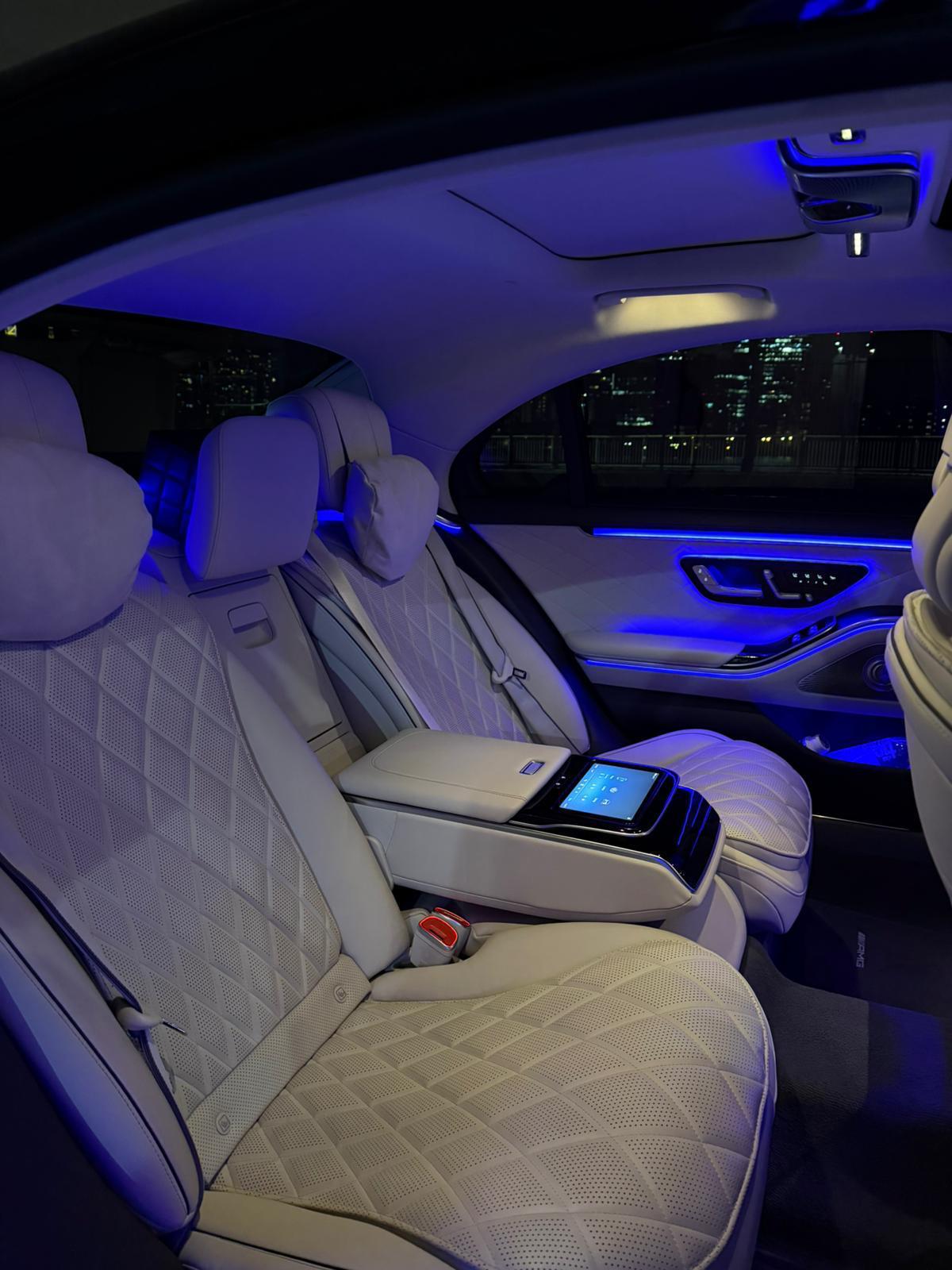 Professional chauffeur